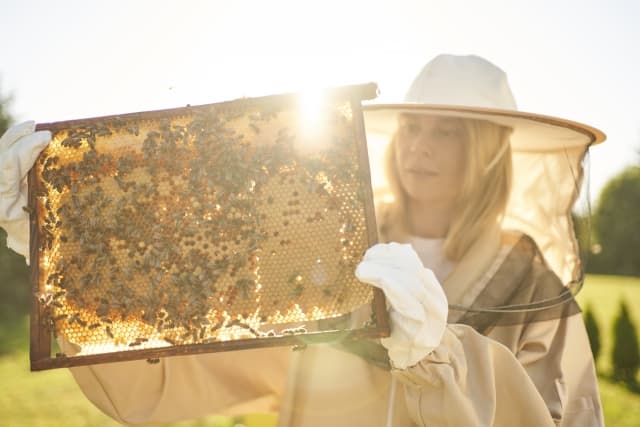 蜂の巣を確認する女性