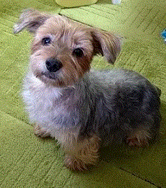 �O���B���̃��[�N�V���[�e���A�X��