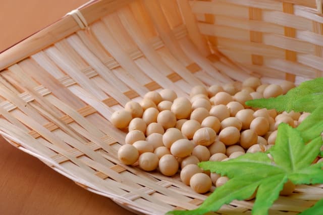 竹ざるに盛られている大豆