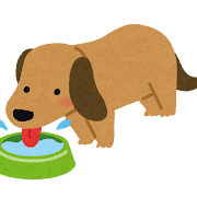 水を飲んでいる犬