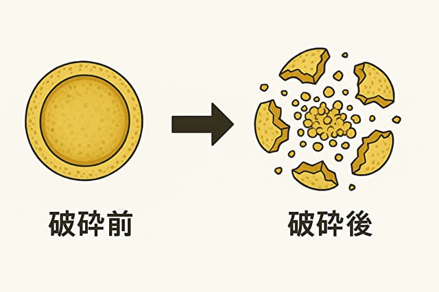 細胞壁破砕のイメージ