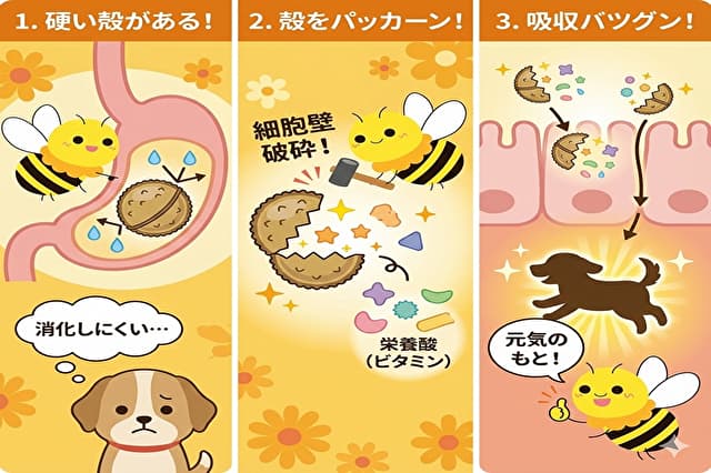 �זE�ǔj�ӂ����闘�_�̐����C���X�g