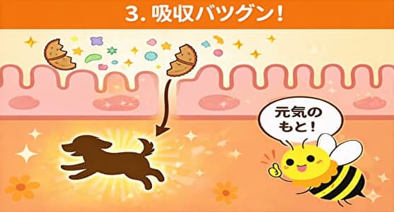 �h�{�������̓��ɋz������Ă���