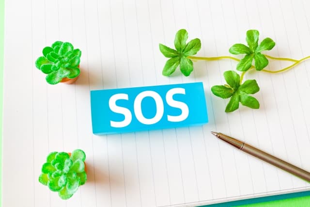 SOS̕ƕւ